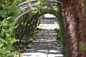 carrick hill 2014 (47)